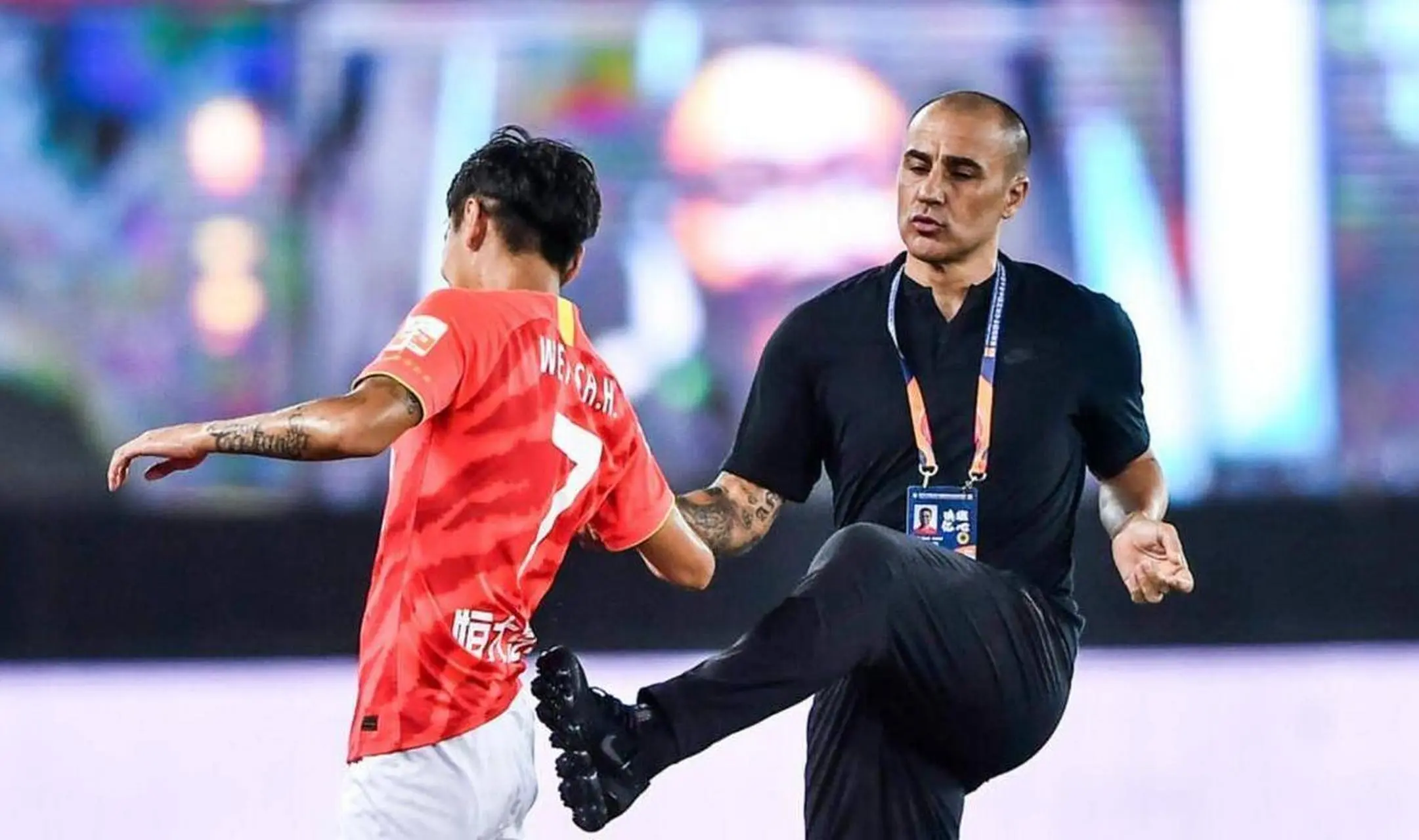 优质年轻国, 鸡毛 优质年轻国, 鸡毛