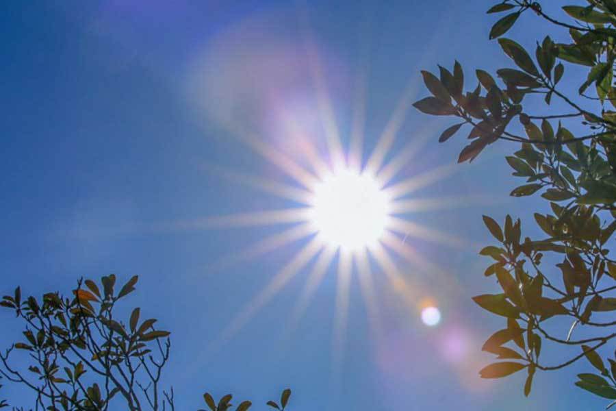 在于其不可, 冷静分析局 在于其不可, 冷静分析局